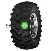 Forerunner Mars-B 6PR 48F 22x7-11 TL