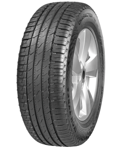 Шина Ikon Character Aqua SUV (Nordman S2 SUV) 215/60 R17 96H в Самаре фото №1